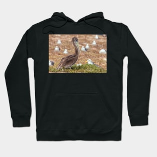 Brown Pelican Hoodie